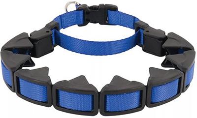 COASTAL Natural Control Training Collar Small Blue